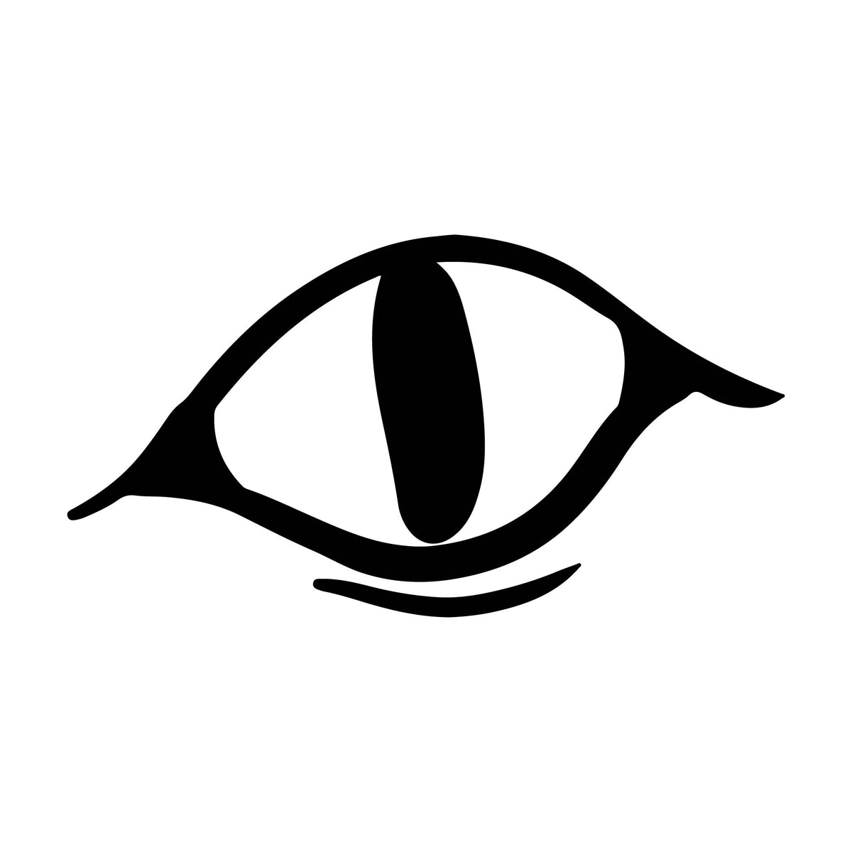 Eye