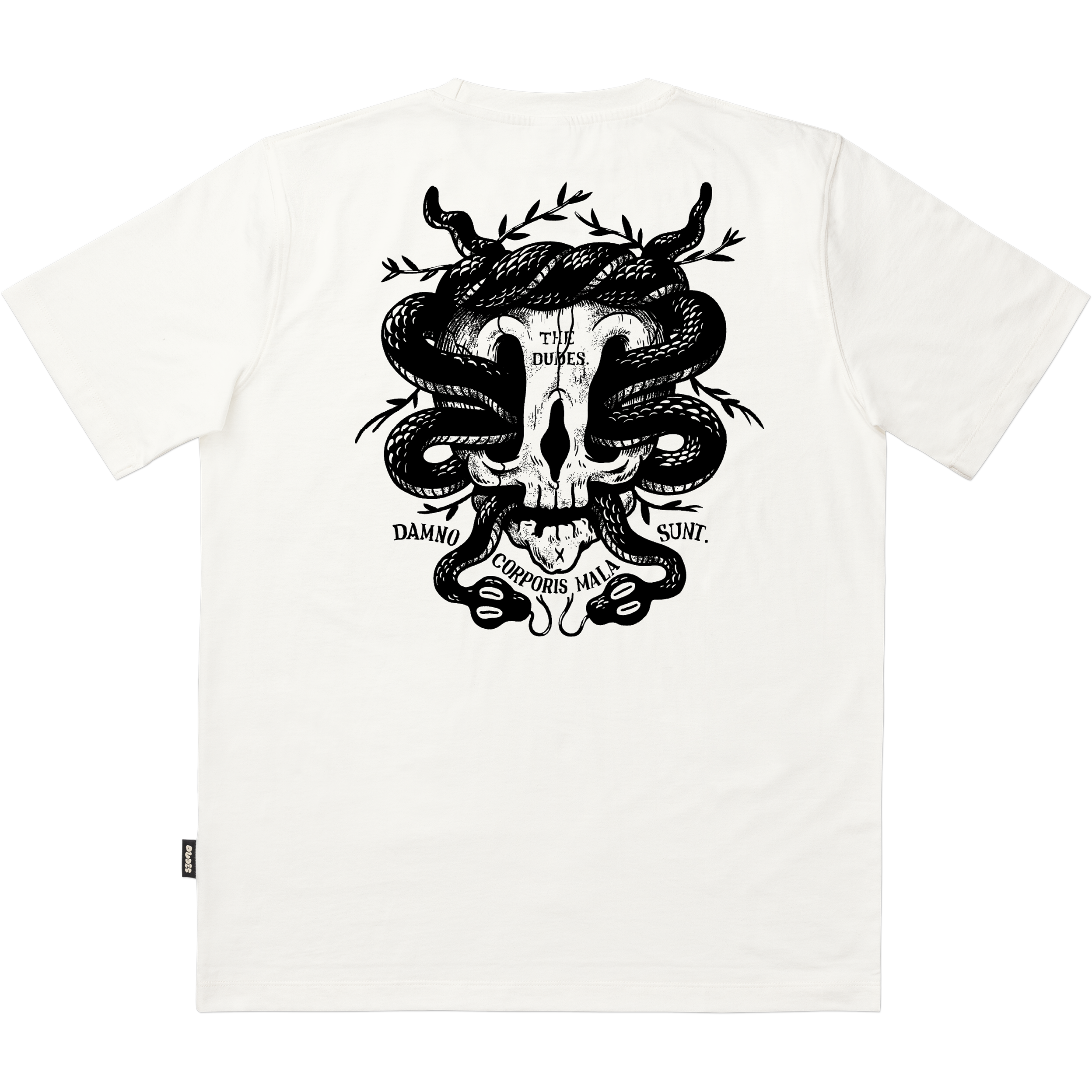 Skull & snakes